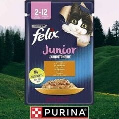 Felix Yavru Kedi Maması 85 Gr. Pouch (Tavuklu)