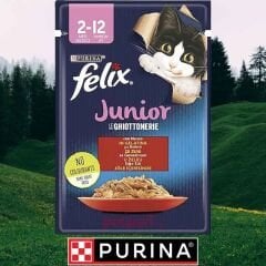 Felix Yavru Kedi Maması 85 Gr. Pouch (Sığır Etli)