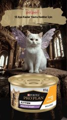 Pro Plan Yavru Kedi Konservesi (24 Adet)